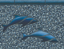  Dolphin / Royal Seabrook