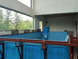 Fountain Swimming Pool Manufacturer in Delhi
