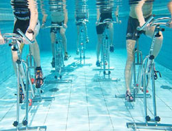 Wetfit Aqua Gym Manufacturer in Delhi